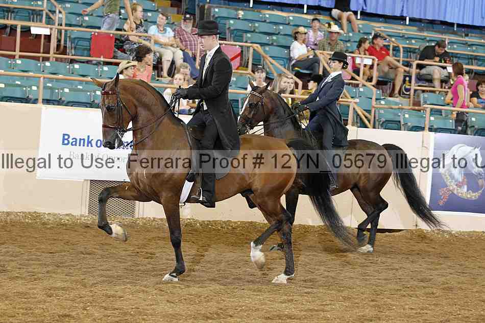 Proof 12yn_05679