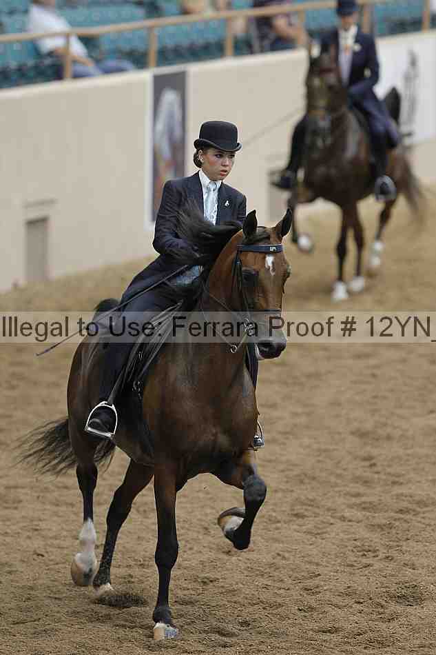 Proof 12yn_05681