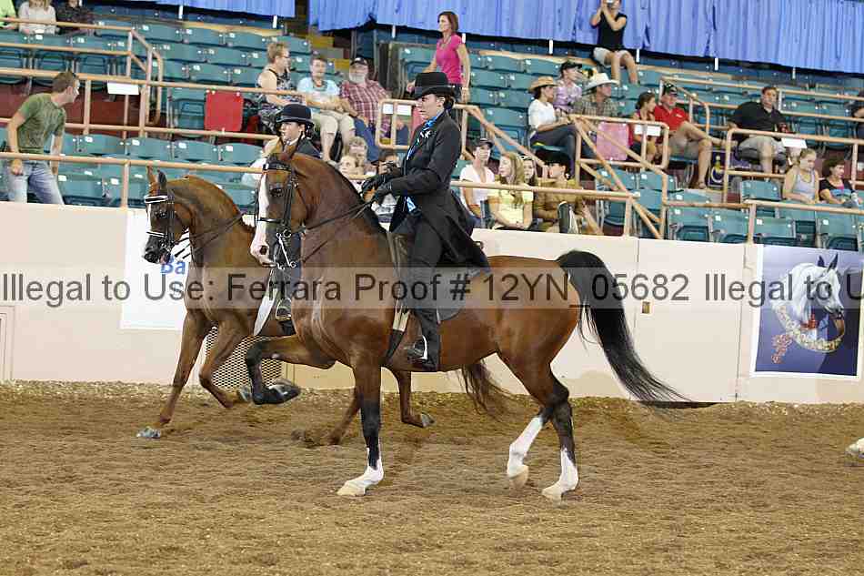Proof 12yn_05682
