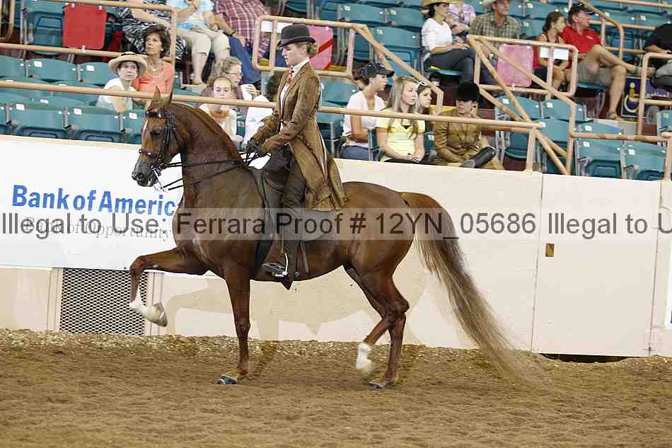 Proof 12yn_05686