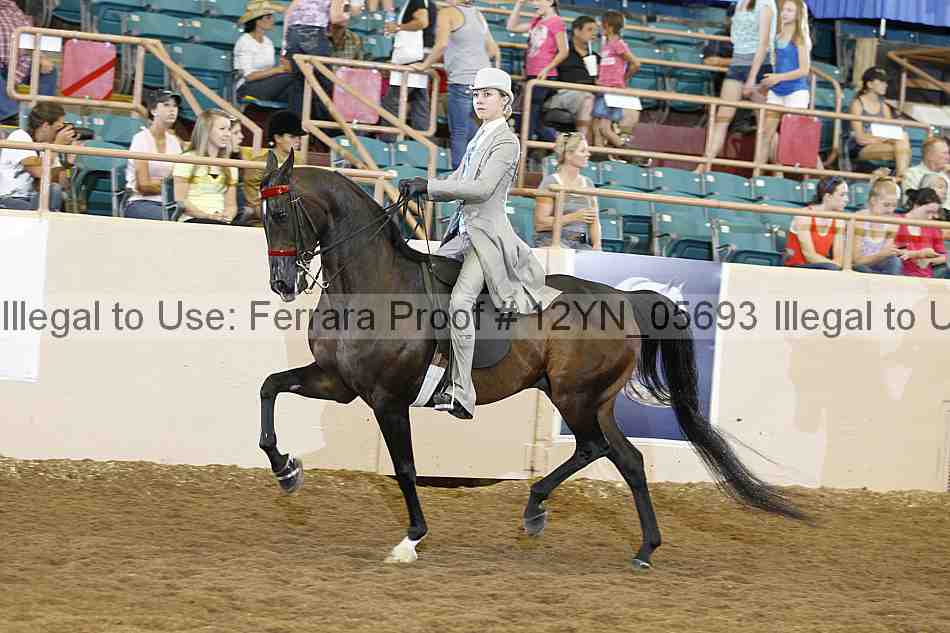 Proof 12yn_05693