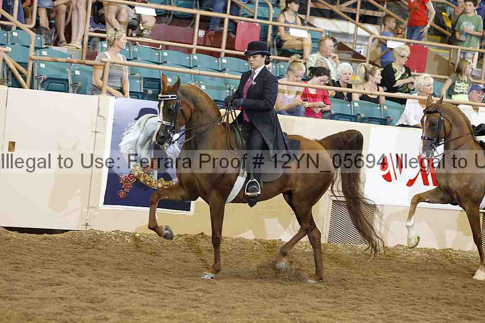 Proof 12yn_05694