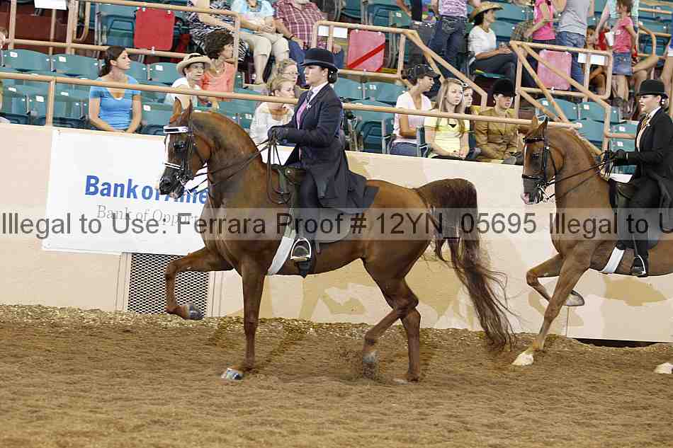 Proof 12yn_05695