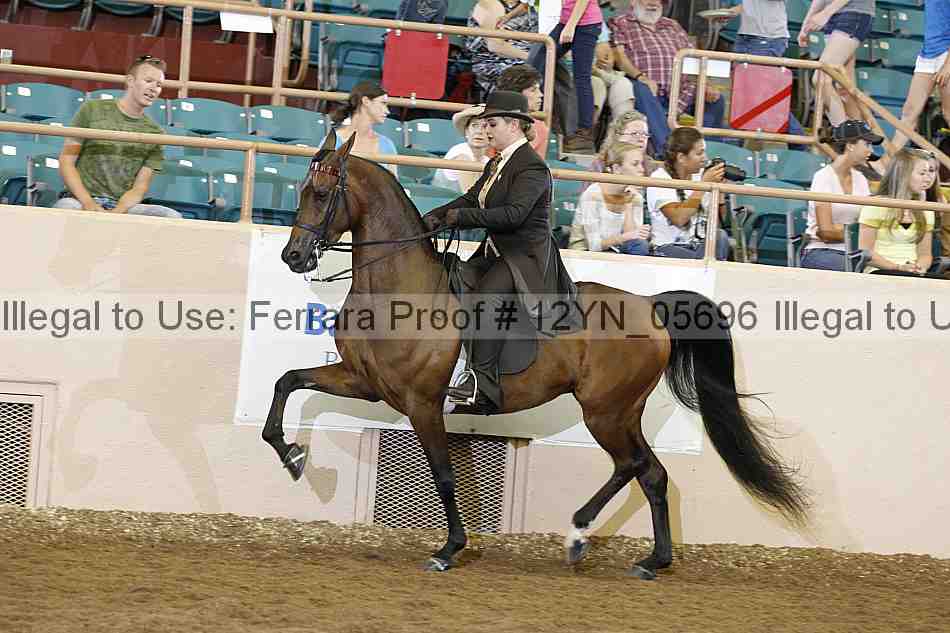 Proof 12yn_05696