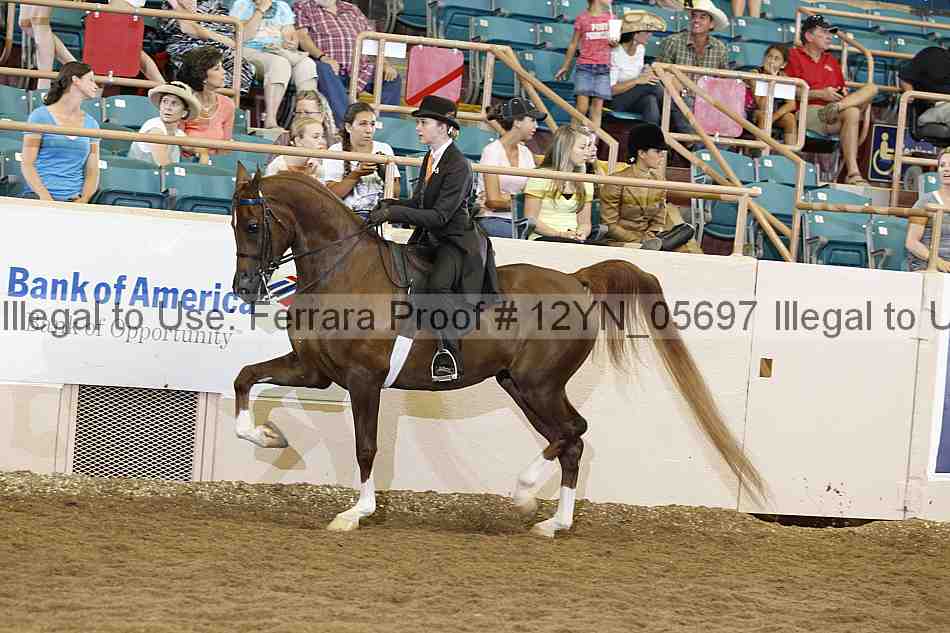 Proof 12yn_05697