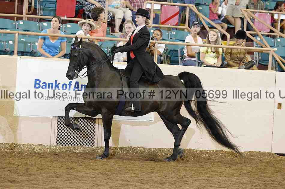 Proof 12yn_05699