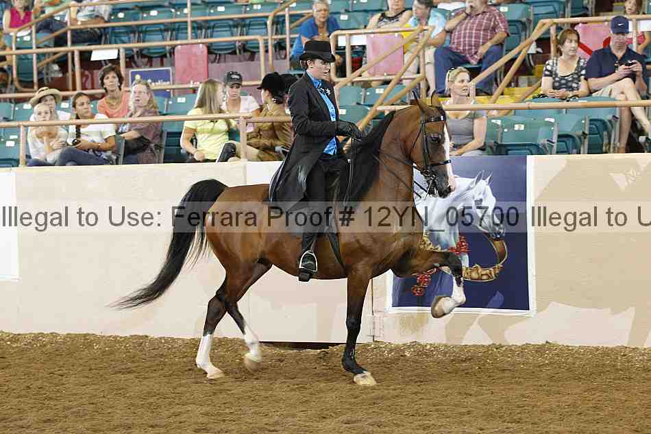 Proof 12yn_05700