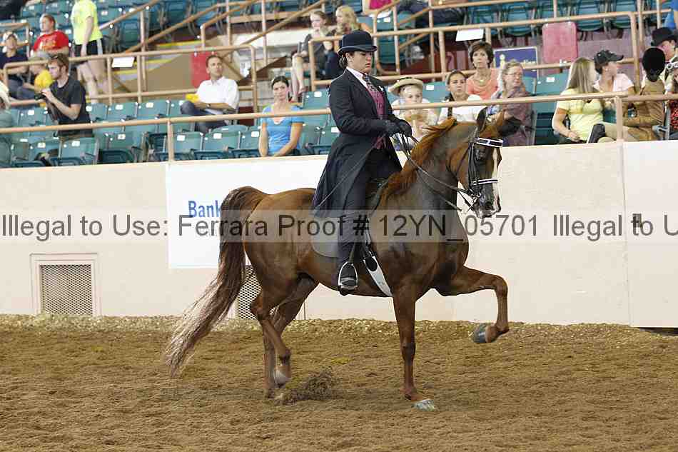 Proof 12yn_05701