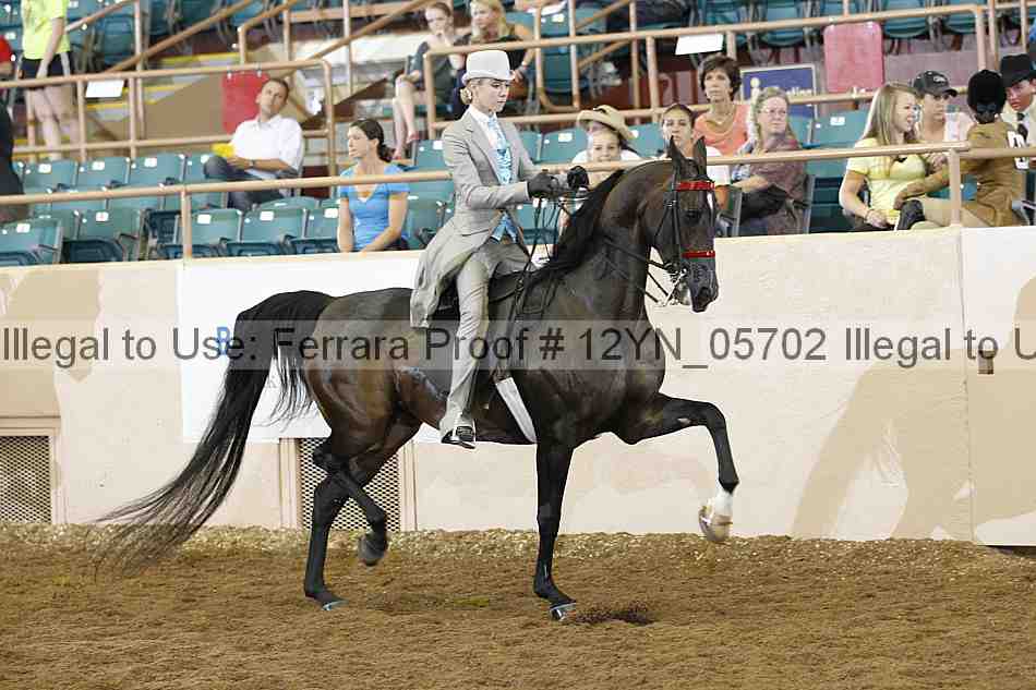 Proof 12yn_05702