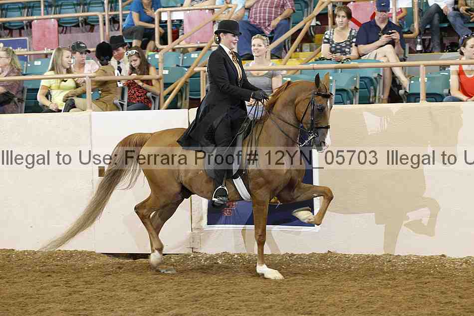 Proof 12yn_05703