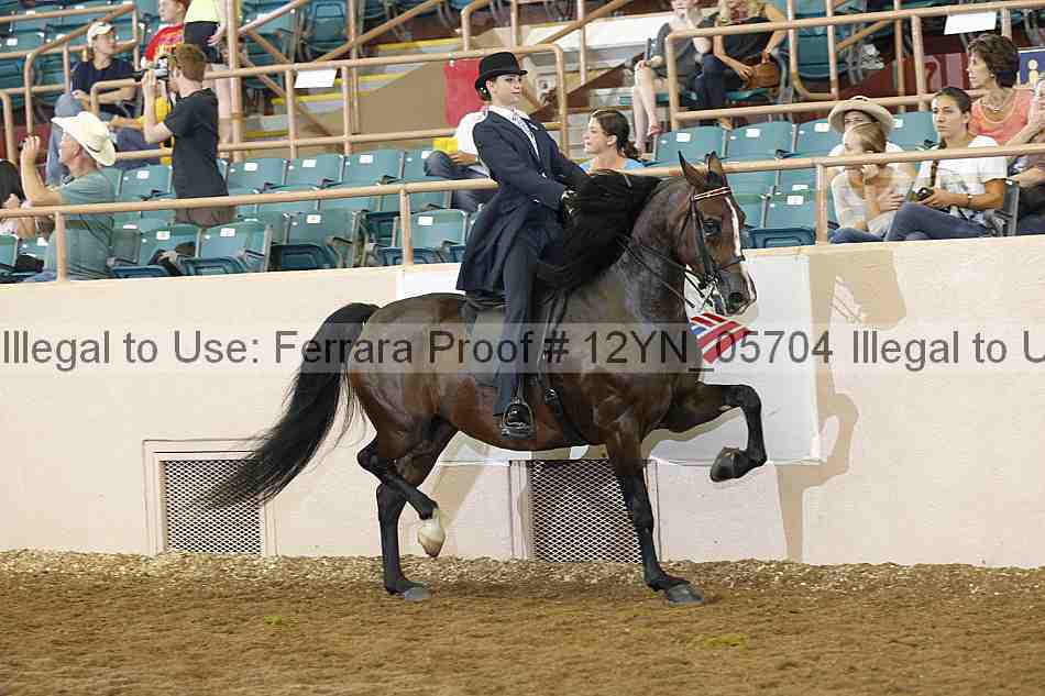 Proof 12yn_05704