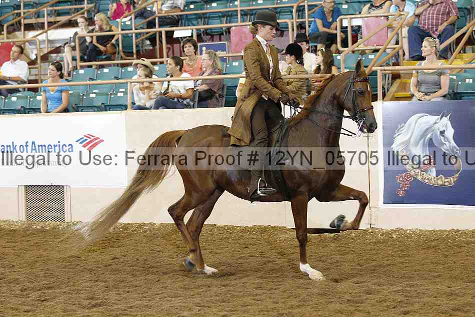 Proof 12yn_05705