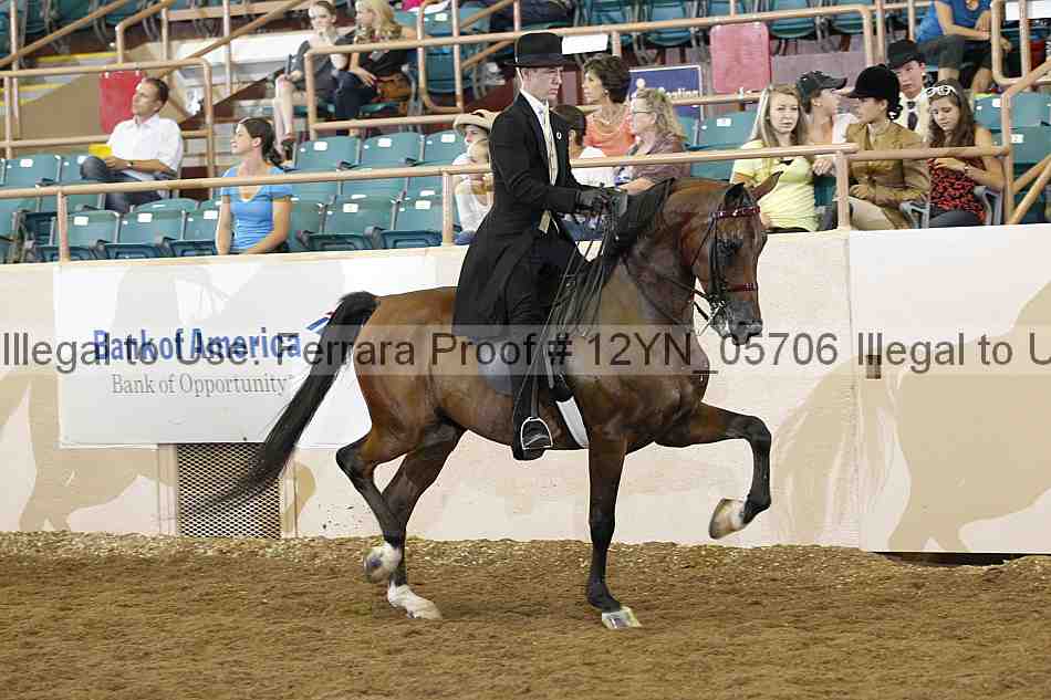 Proof 12yn_05706