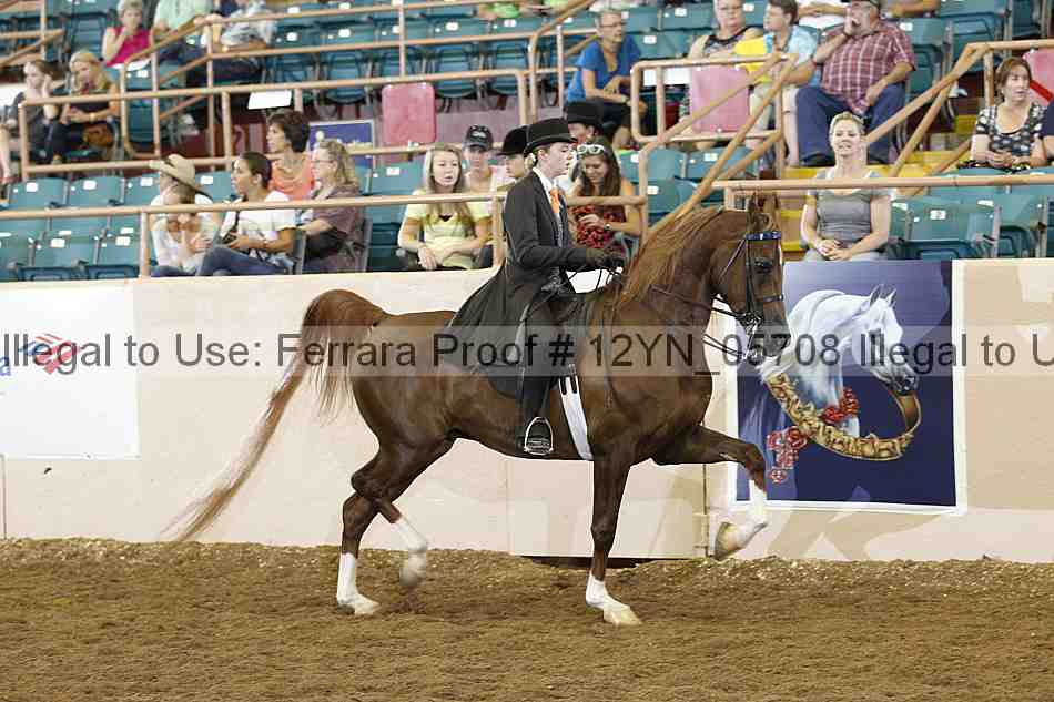 Proof 12yn_05708