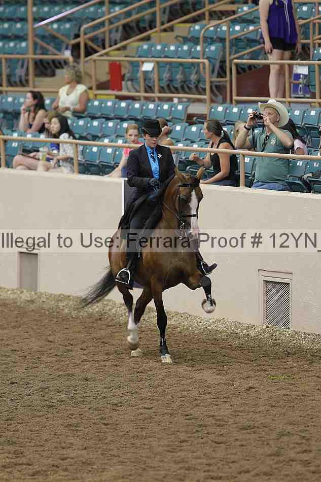 Proof 12yn_05709