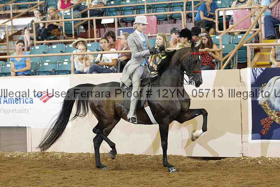 Proof 12yn_05713