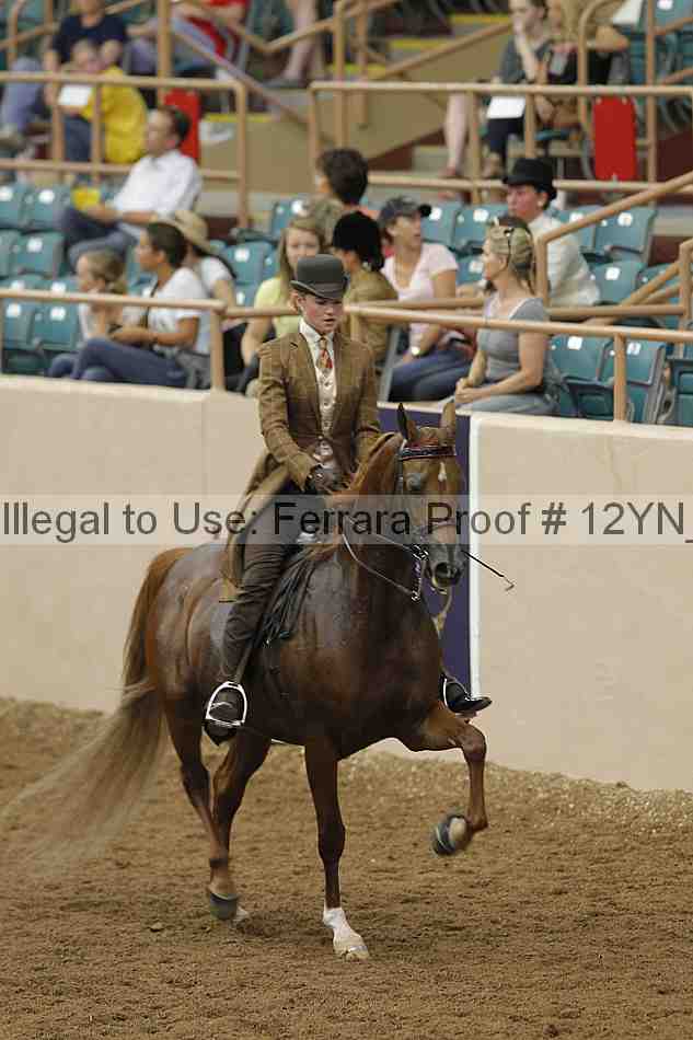 Proof 12yn_05715