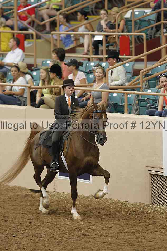 Proof 12yn_05717