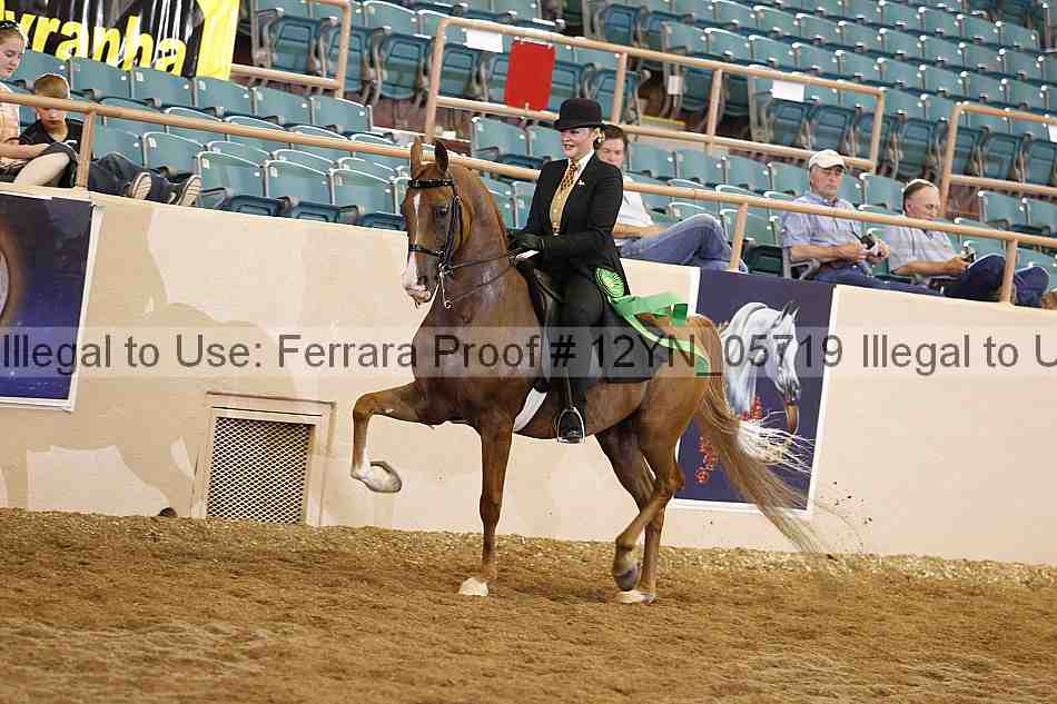 Proof 12yn_05719