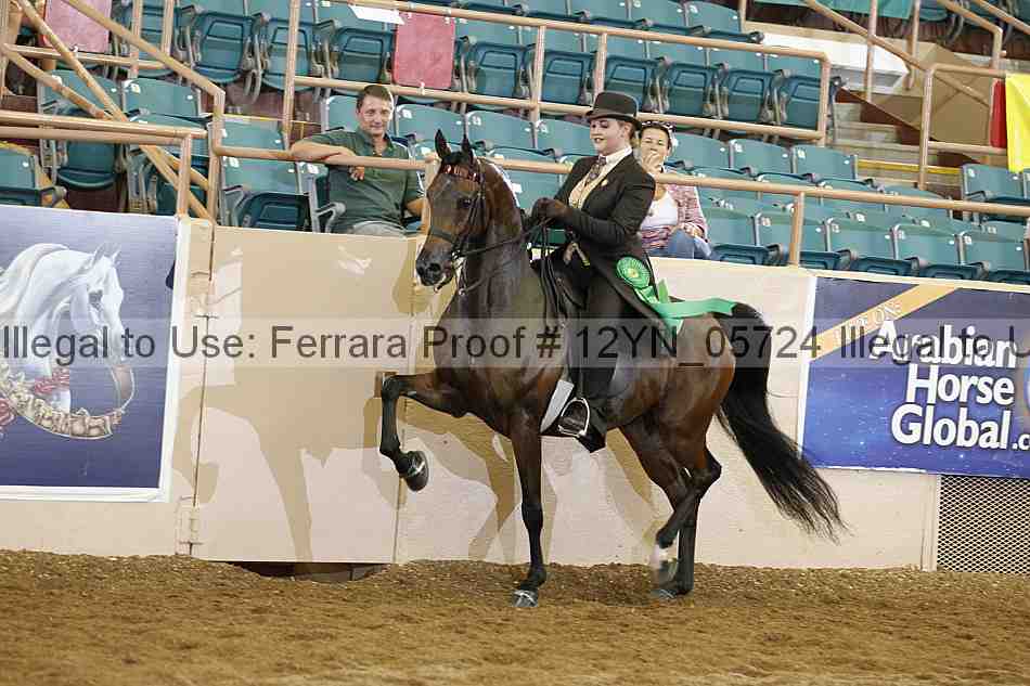 Proof 12yn_05724