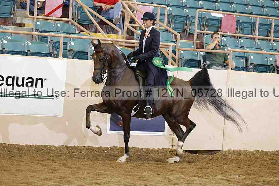 Proof 12yn_05728