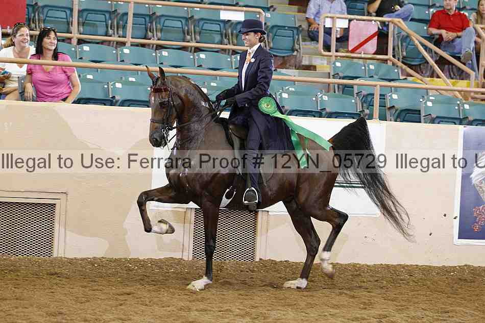 Proof 12yn_05729