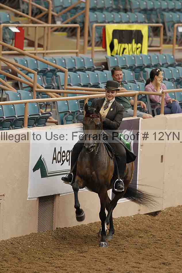 Proof 12yn_05731