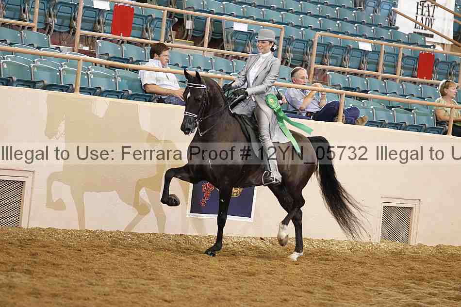 Proof 12yn_05732