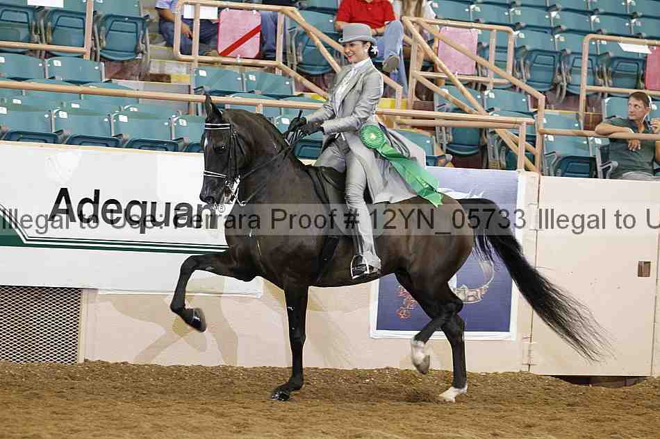 Proof 12yn_05733