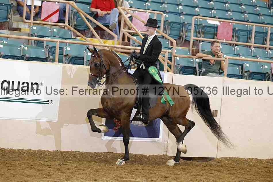 Proof 12yn_05736