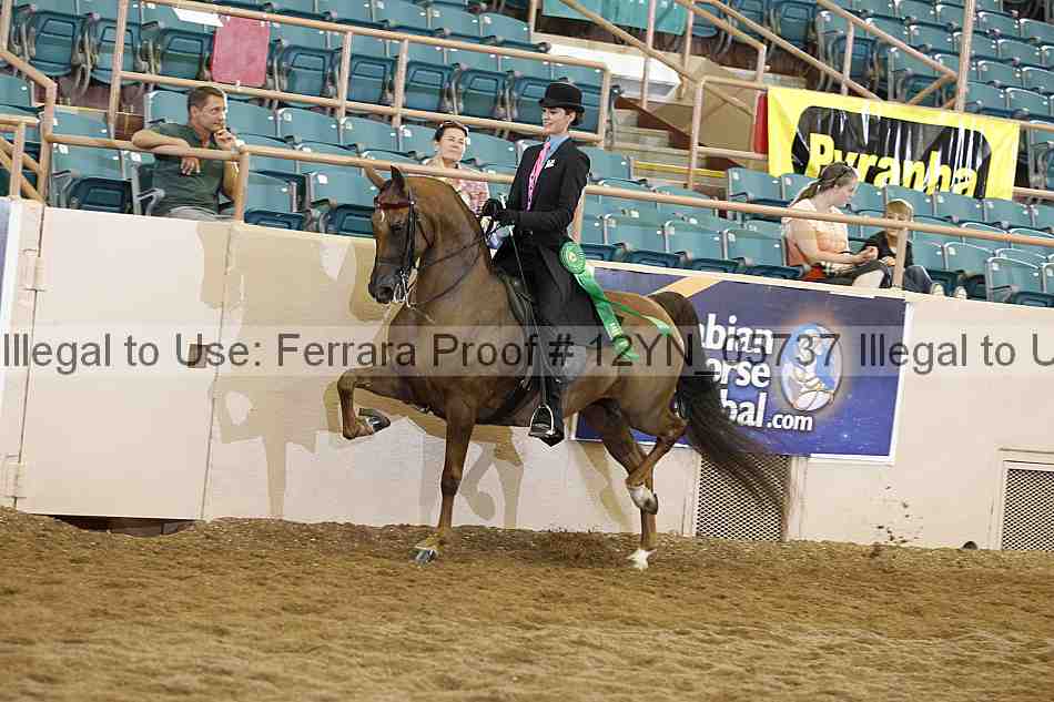 Proof 12yn_05737