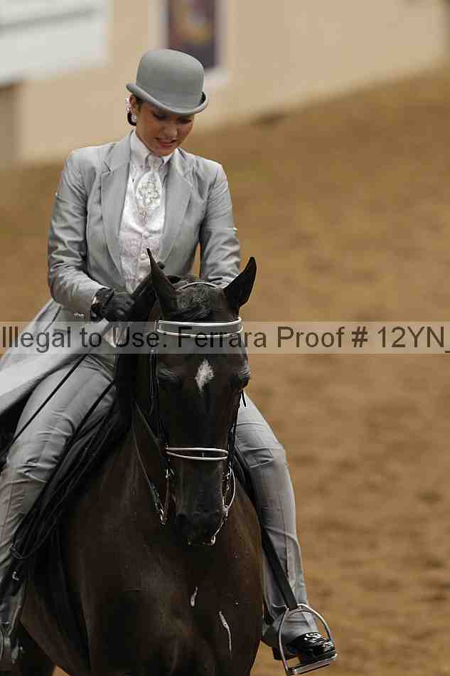 Proof 12yn_05740