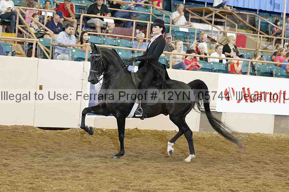 Proof 12yn_05744