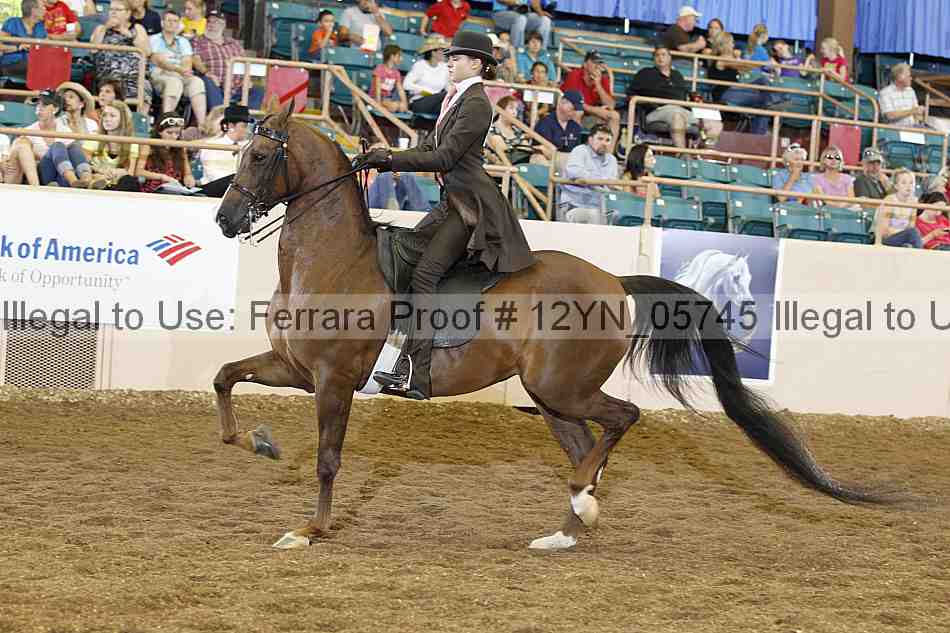 Proof 12yn_05745