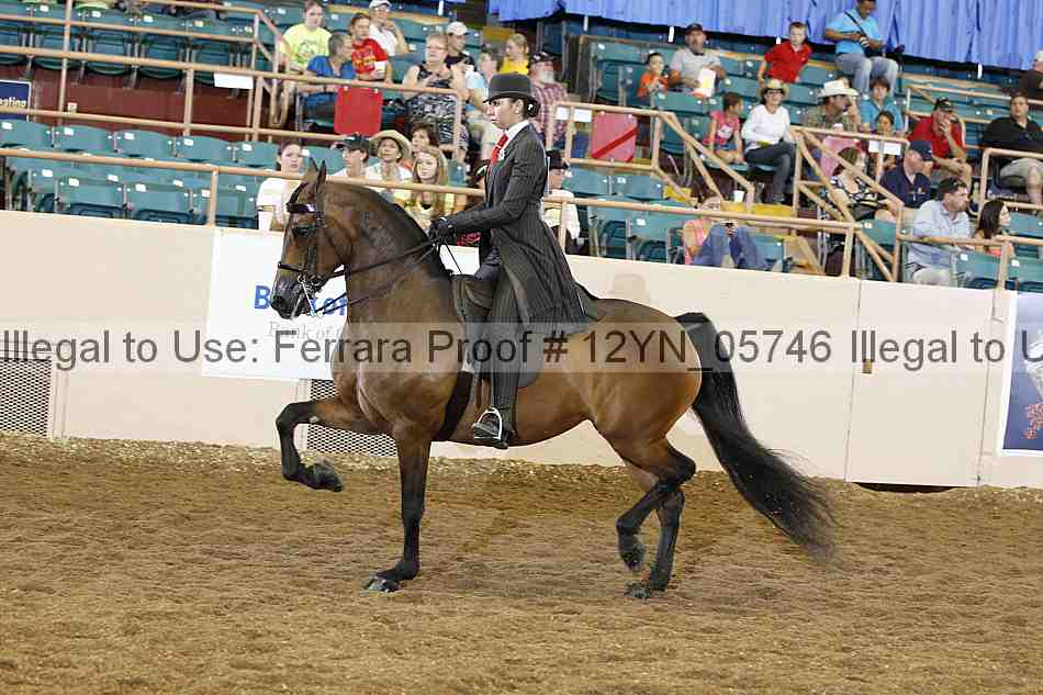 Proof 12yn_05746