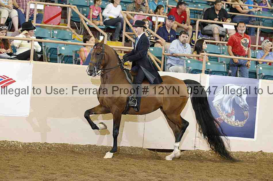 Proof 12yn_05747
