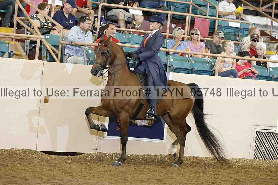 Proof 12yn_05748