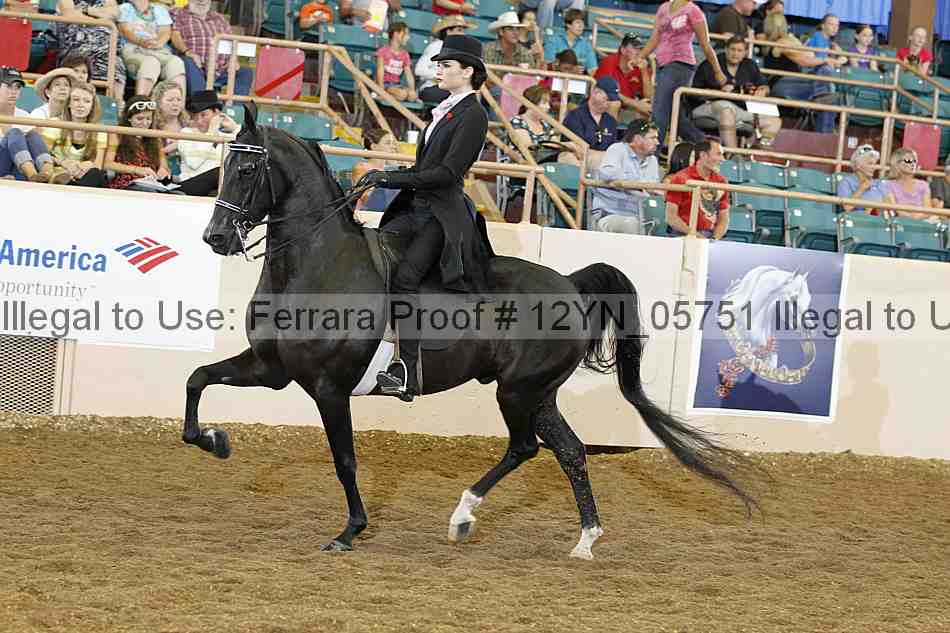 Proof 12yn_05751