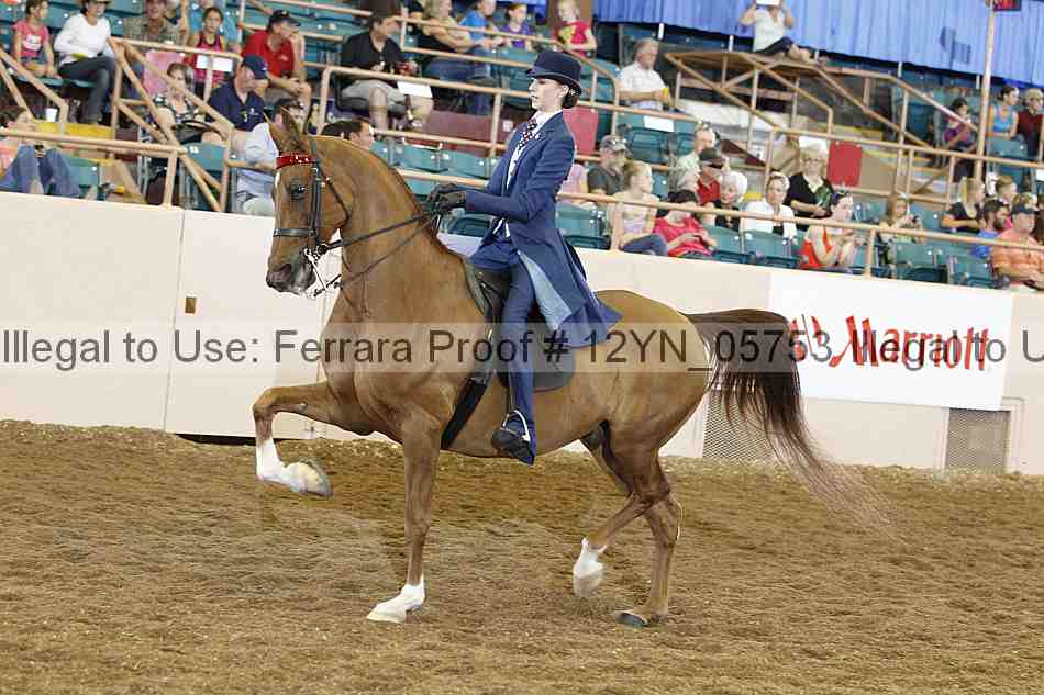 Proof 12yn_05753