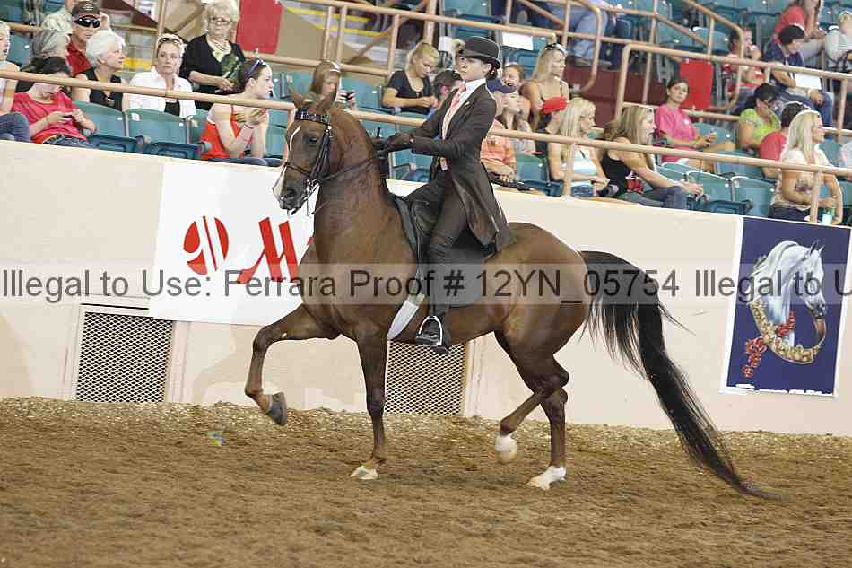 Proof 12yn_05754