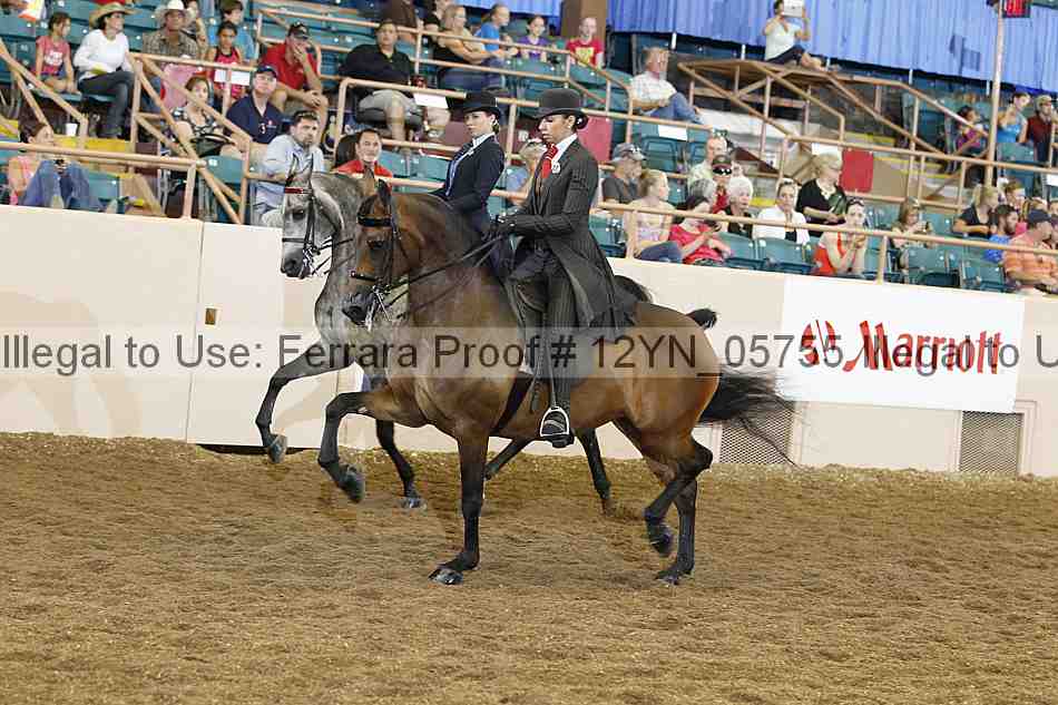 Proof 12yn_05755