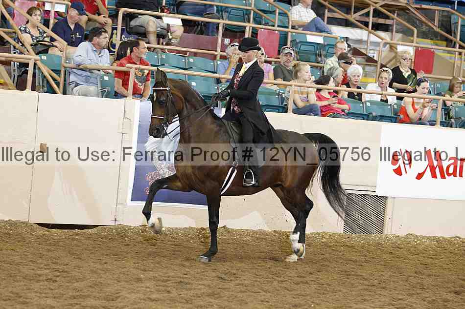 Proof 12yn_05756