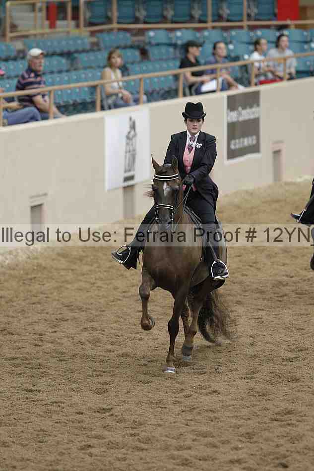 Proof 12yn_05757