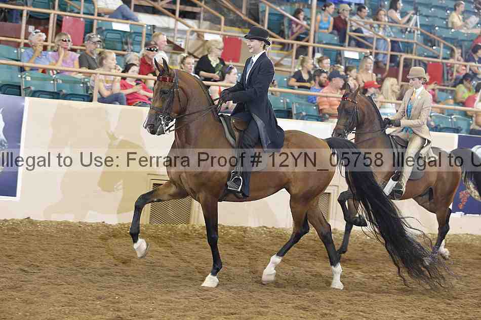 Proof 12yn_05758