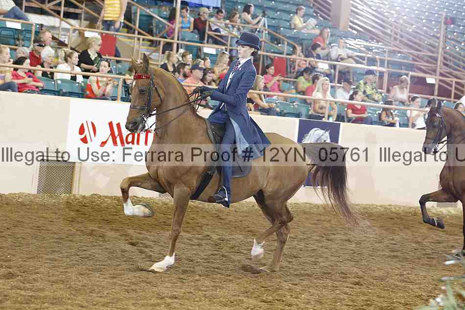 Proof 12yn_05761