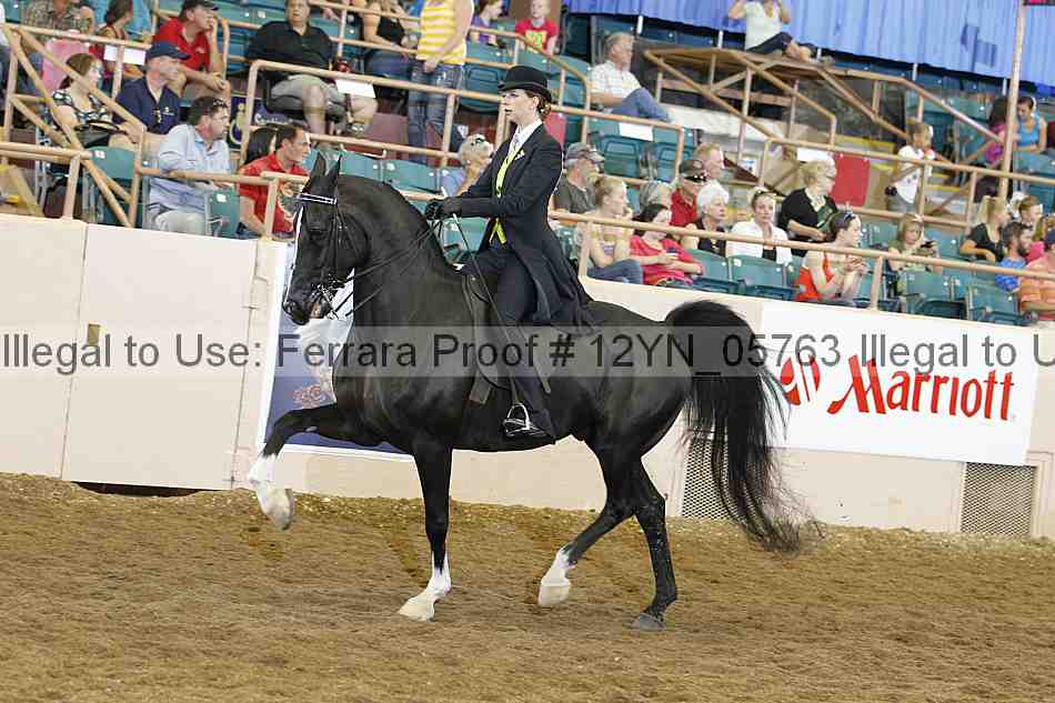 Proof 12yn_05763
