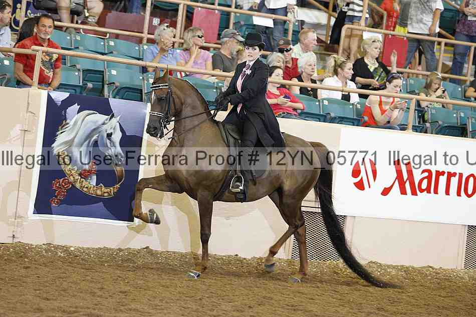 Proof 12yn_05771