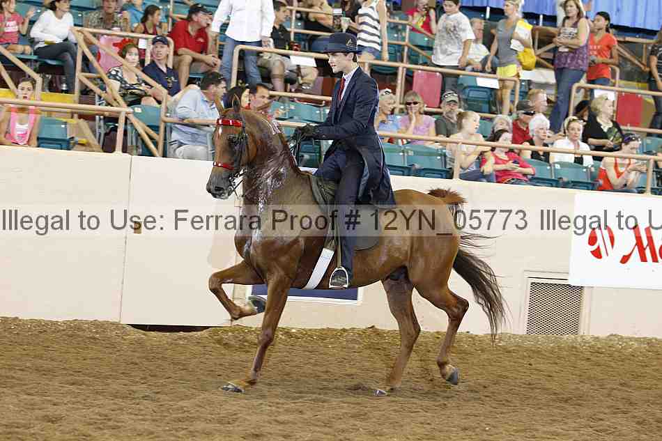 Proof 12yn_05773