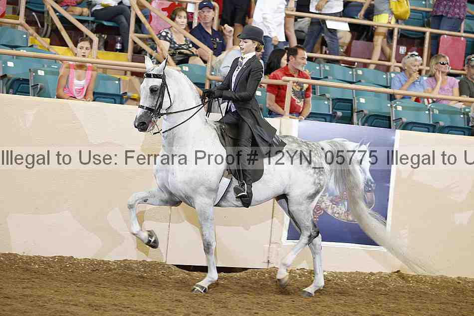 Proof 12yn_05775