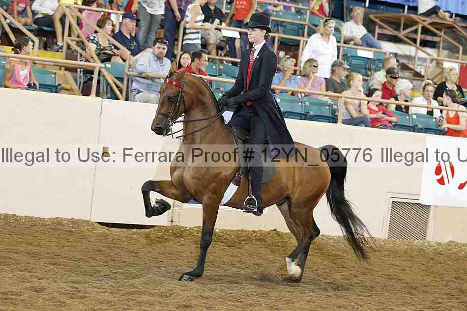 Proof 12yn_05776